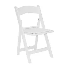 Padded Resin Chair